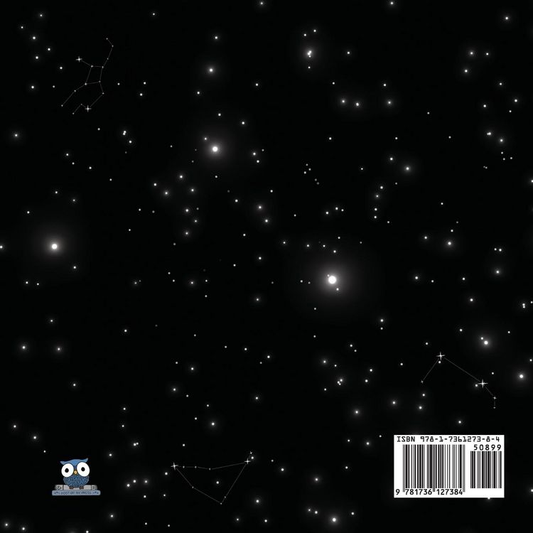 Produktbild: The Night Owl Goes to Space