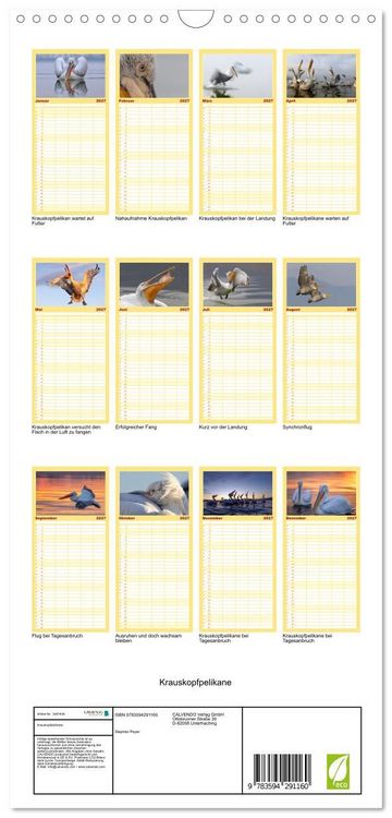 Produktbild: Familienplaner 2027 - Krauskopfpelikane mit 5 Spalten (Wandkalender, 21 x 45 cm) CALVENDO