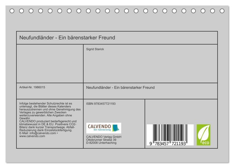 Produktbild: Neufundl&auml;nder - Ein b&auml;renstarker Freund (Tischkalender 2026 DIN A5 quer), CALVENDO Monatskalender