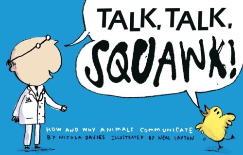 Produktbild: Davies, N: Talk, Talk, Squawk!