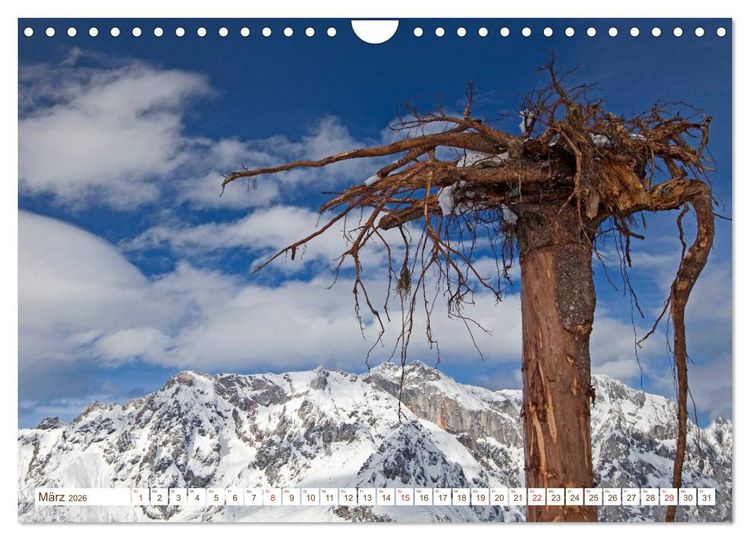 Produktbild: Alles aus Holz (Wandkalender 2026 DIN A4 quer), CALVENDO Monatskalender