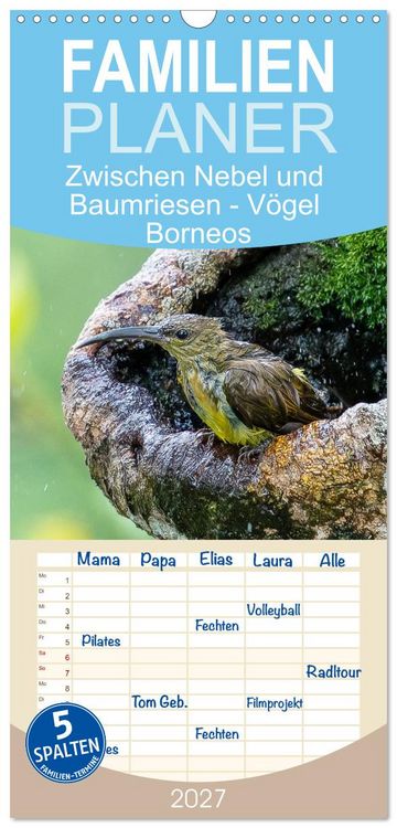 Produktbild: Familienplaner 2027 - Zwischen Nebel und Baumriesen - V&ouml;gel Borneos mit 5 Spalten (Wandkalender, 21 x 45 cm) CALVENDO