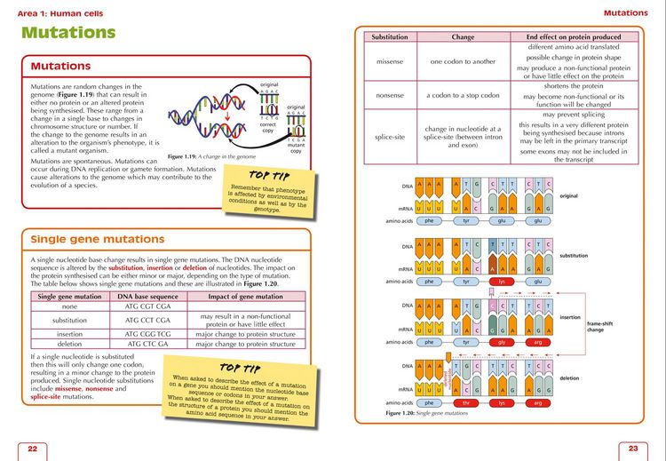 Produktbild: Higher Human Biology