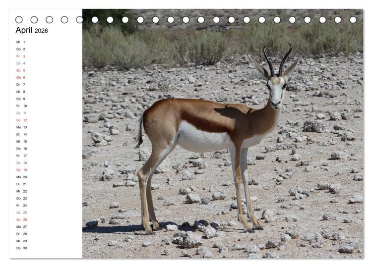 Produktbild: Namibia - Tierische Vielfalt (Planer) (Tischkalender 2026 DIN A5 quer), CALVENDO Monatskalender