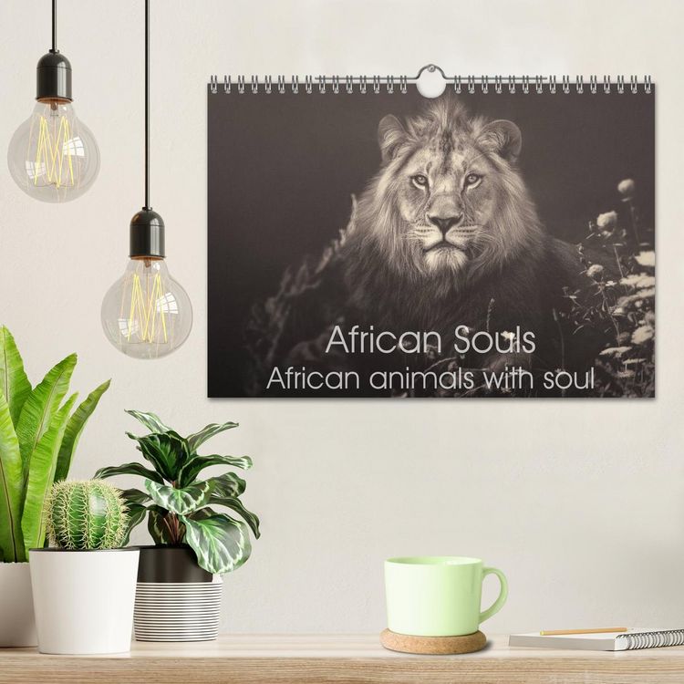 Produktbild: African Souls African animals with soul (Wall Calendar 2026 DIN A4 landscape), CALVENDO 12 Month Wall Calendar