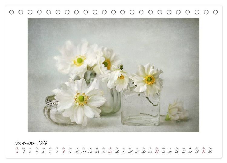 Produktbild: Kleine Bl&uuml;tenwunder (Tischkalender 2026 DIN A5 quer), CALVENDO Monatskalender