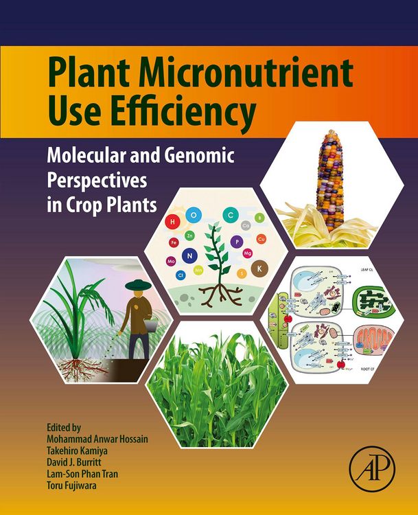 Produktbild: Plant Micronutrient Use Efficiency