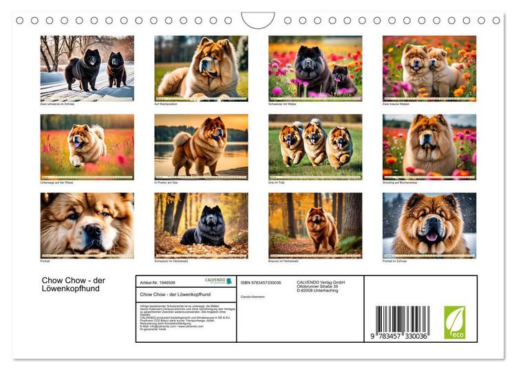 Produktbild: Chow Chow - der L&ouml;wenkopfhund (Wandkalender 2026 DIN A4 quer), CALVENDO Monatskalender