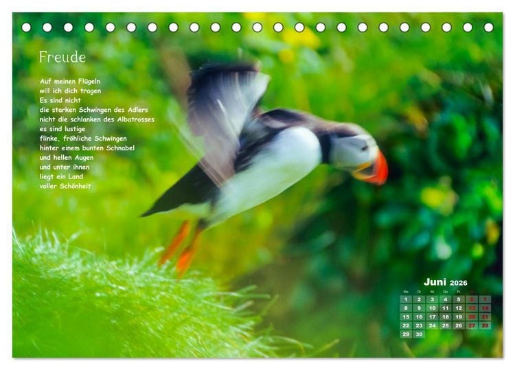 Produktbild: Lichtblicke f&uuml;r Auge und Seele - Der Kalender (Tischkalender 2026 DIN A5 quer), CALVENDO Monatskalender