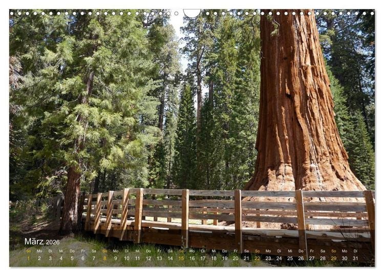 Produktbild: Der S&uuml;dwesten der USA (Wandkalender 2026 DIN A3 quer), CALVENDO Monatskalender