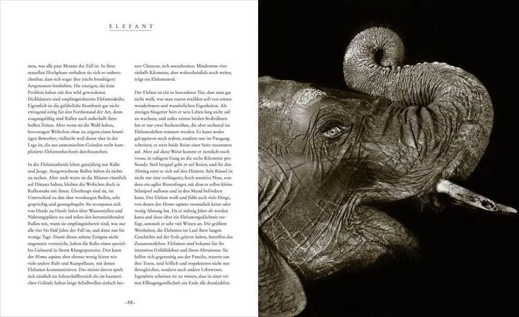 Die Seele der Tiere. Gesichter. Gefühle. Geschichten