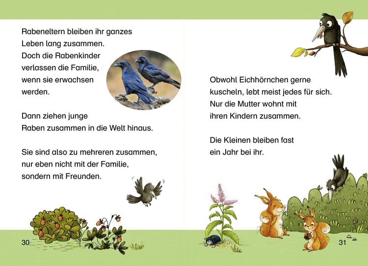 Produktbild: Komm mit uns in den Wald