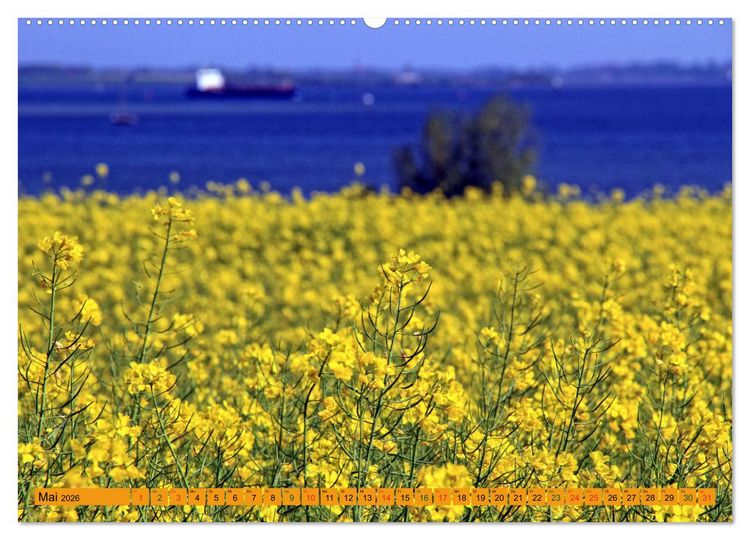 Produktbild: Wismarer Bucht - Impressionen zwischen Kl&uuml;tzer Winkel und der Insel Poel (Wandkalender 2026 DIN A2 quer), CALVENDO Monatskalender