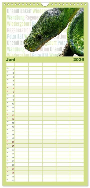 Produktbild: Familienplaner 2026 - Mein wildes Krafttier voller Achtsamkeit mit 5 Spalten (Wandkalender, 21 x 45 cm) CALVENDO