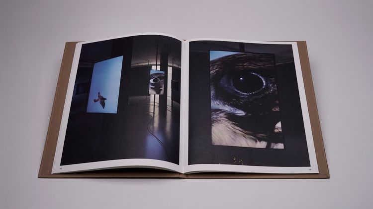 Produktbild: Jo&atilde;o Onofre &ndash; Untitled (in awe of)