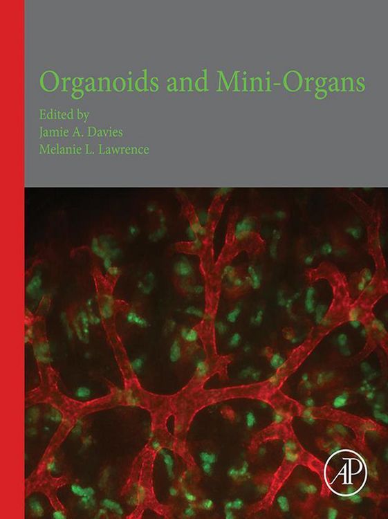 Produktbild: Organoids and Mini-Organs