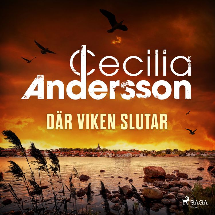 Produktbild: D&auml;r viken slutar