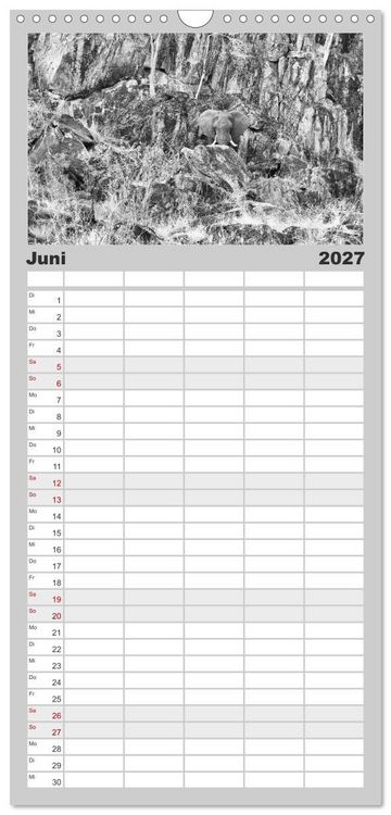 Produktbild: Familienplaner 2027 - Afrika Schwarz - Weiss mit 5 Spalten (Wandkalender, 21 x 45 cm) CALVENDO