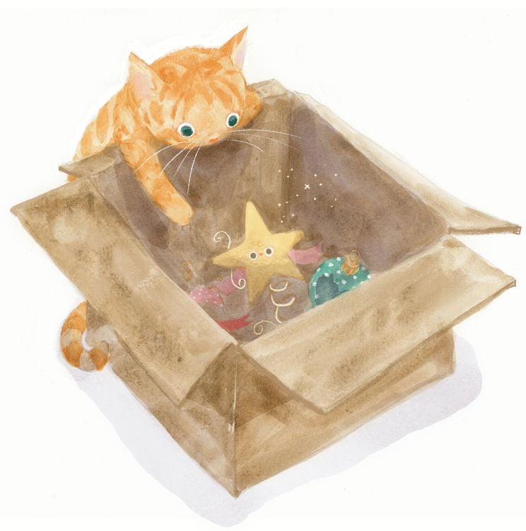 Produktbild: Das kleine Weihnachtssternchen