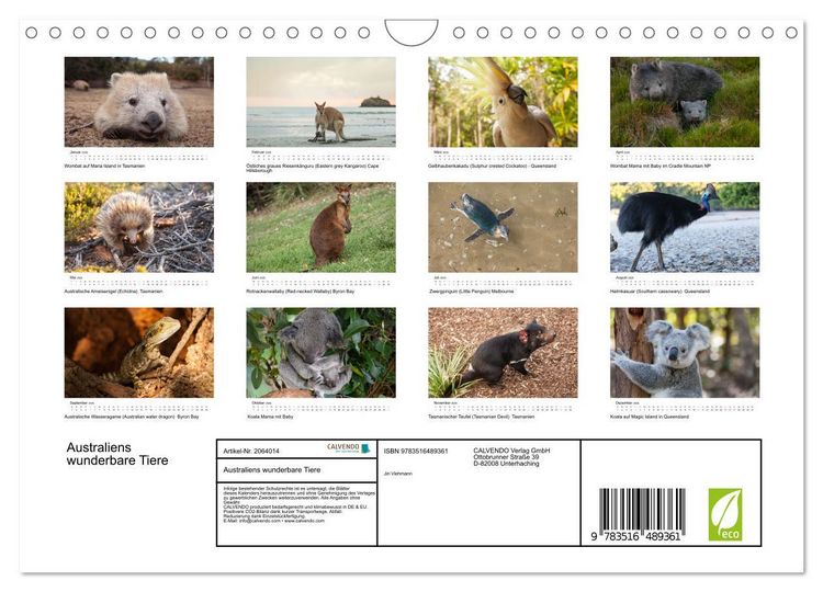 Produktbild: Australiens wunderbare Tiere (Wandkalender 2026 DIN A4 quer), CALVENDO Monatskalender