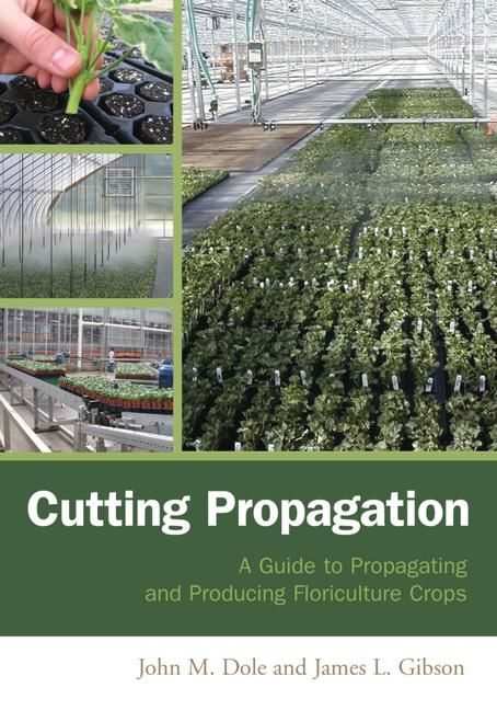 Produktbild: Cutting Propagation