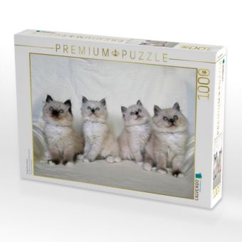 Produktbild: CALVENDO Puzzle Heilige Birma Katzen | 1000 Teile Lege-Gr&ouml;&szlig;e 64x48cm Foto-Puzzle f&uuml;r gl&uuml;ckliche Stunden