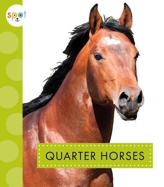 Produktbild: Quarter Horses