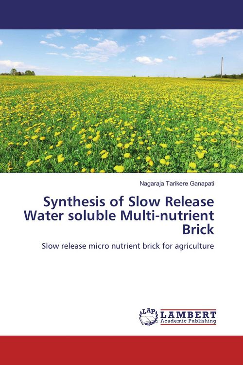 Produktbild: Synthesis of Slow Release Water soluble Multi-nutrient Brick
