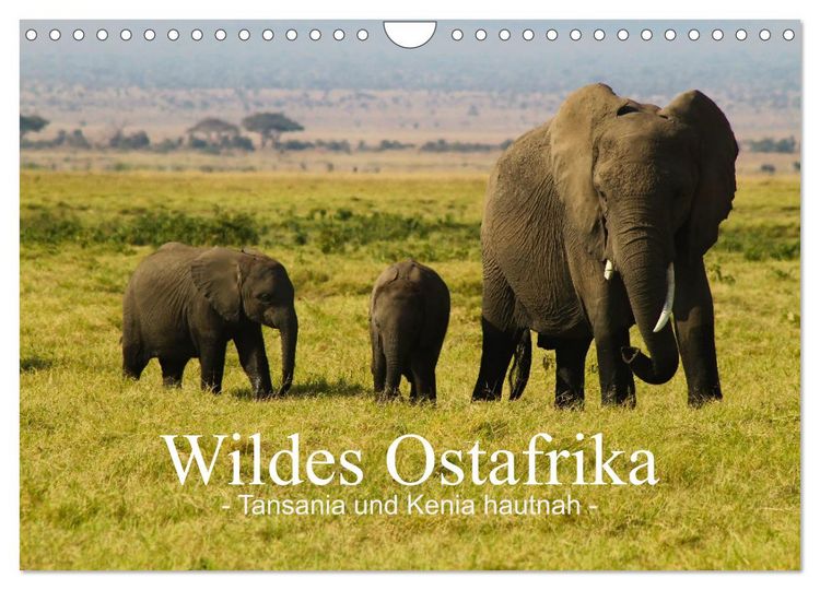 Produktbild: Wildes Ostafrika - Tansania und Kenia hautnah (Wandkalender 2026 DIN A4 quer), CALVENDO Monatskalender