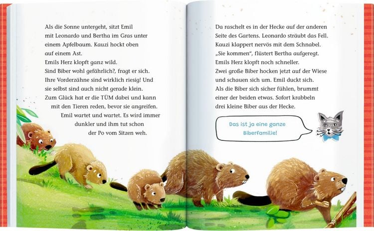 Produktbild: Emil Einstein (Leseanf&auml;nger, Bd. 1)