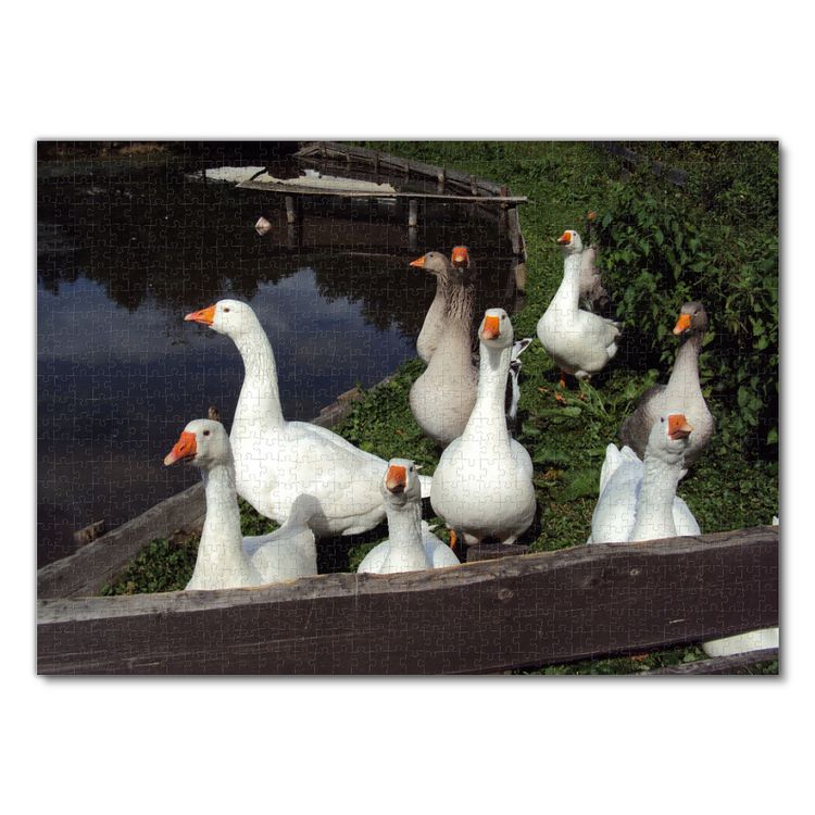 Produktbild: Lais Puzzle G&auml;nse 1000 Teile