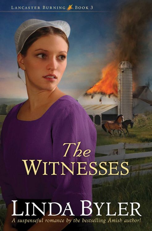 Produktbild: The Witnesses