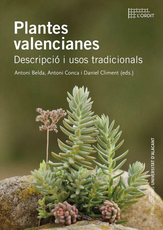 Produktbild: Plantes valencianes : descripci&oacute; i usos tradicionals