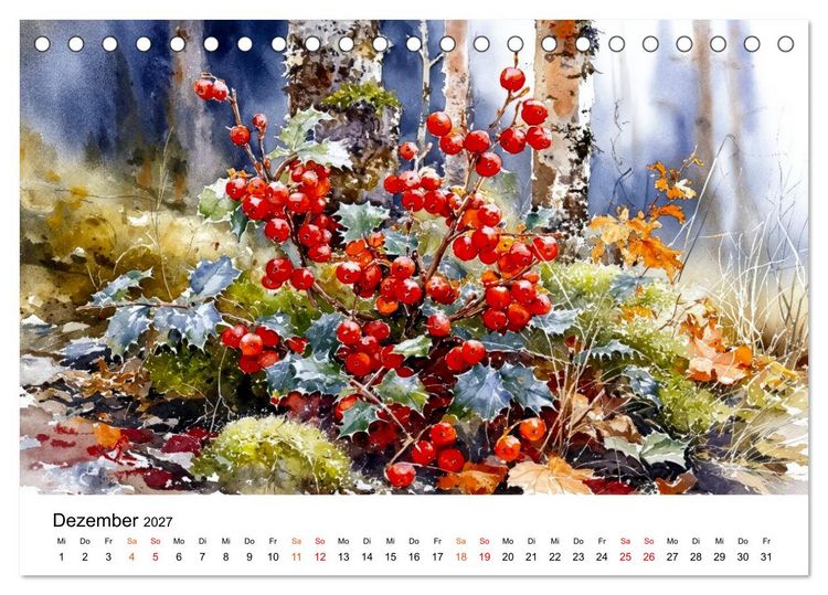 Produktbild: Wildblumen zwischen Moos und Farn (Tischkalender 2027 DIN A5 quer), CALVENDO Monatskalender