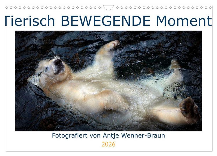 Produktbild: Tierisch BEWEGENDE Momente (Wandkalender 2026 DIN A3 quer), CALVENDO Monatskalender