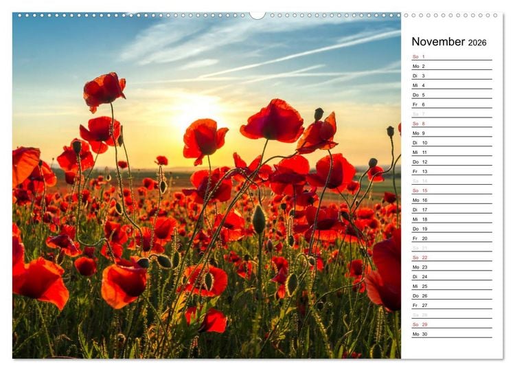 Produktbild: Ein Traum von Mohn (hochwertiger Premium Wandkalender 2026 DIN A2 quer), Kunstdruck in Hochglanz