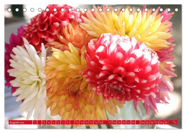 Produktbild: Wunderbare Dahlienwelt (Tischkalender 2026 DIN A5 quer), CALVENDO Monatskalender