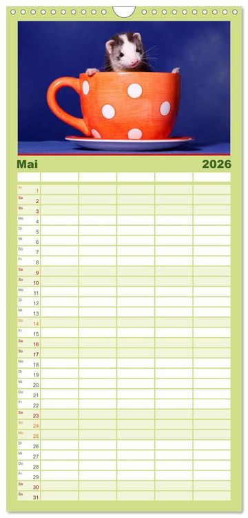 Produktbild: Familienplaner 2026 - Frettchen - Ferrets mit 5 Spalten (Wandkalender, 21 x 45 cm) CALVENDO