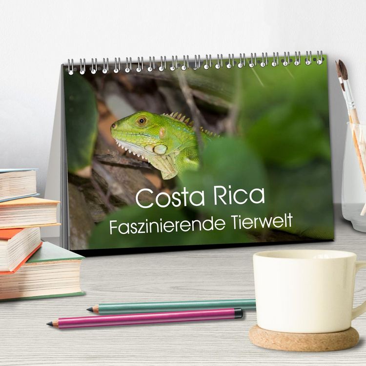 Produktbild: Costa Rica. Faszinierende Tierwelt (Tischkalender 2026 DIN A5 quer), CALVENDO Monatskalender