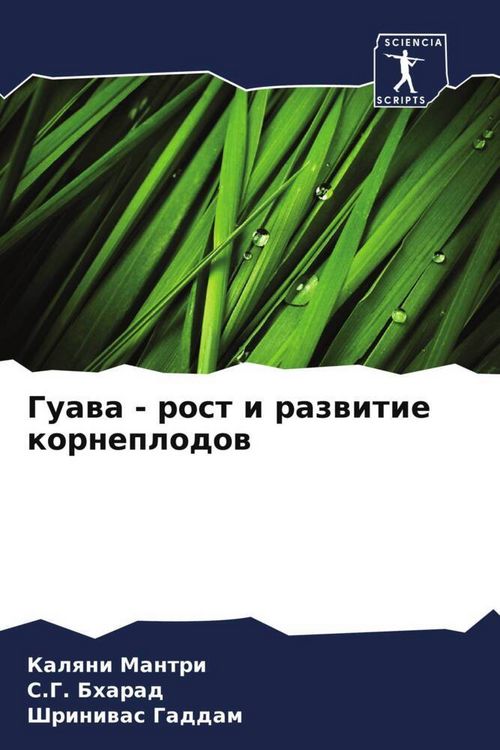Produktbild: Guawa - rost i razwitie korneplodow