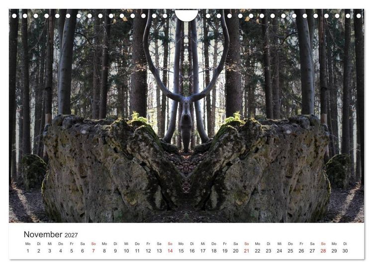 Produktbild: Spiegelwelten - Natur anders sehen (Wandkalender 2027 DIN A4 quer), CALVENDO Monatskalender