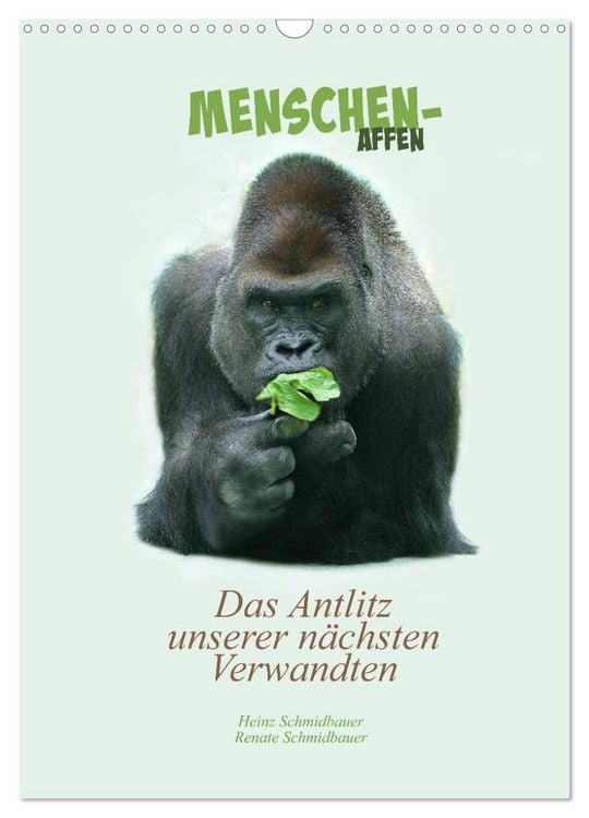 Produktbild: Menschenaffen - Das Antlitz unserer n&auml;chsten Verwandten (Wandkalender 2026 DIN A3 hoch), CALVENDO Monatskalender