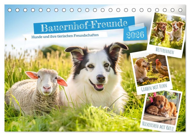 Produktbild: Bauernhof-Freunde - Hunde und ihre tierischen Freundschaften (Tischkalender 2026 DIN A5 quer), CALVENDO Monatskalender