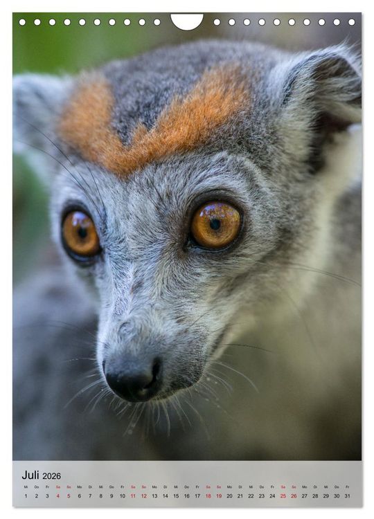 Produktbild: MADAGASKAR: Baobabs, Lemuren, Naturwunder (Wandkalender 2026 DIN A4 hoch), CALVENDO Monatskalender
