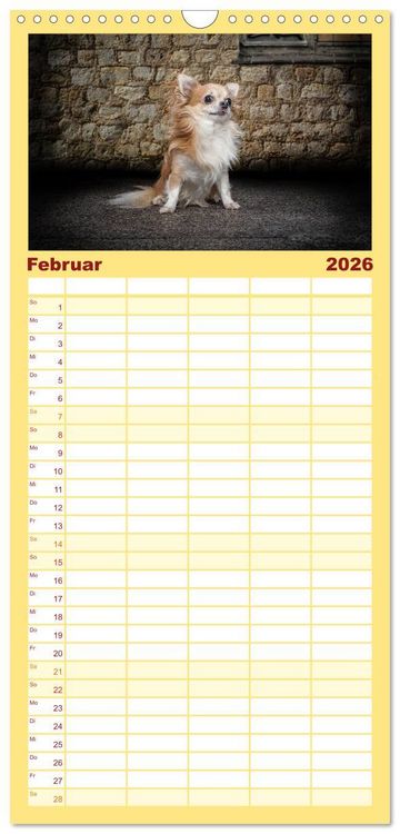 Produktbild: Familienplaner 2026 - Chihuahuas - Cool and Cute mit 5 Spalten (Wandkalender, 21 x 45 cm) CALVENDO