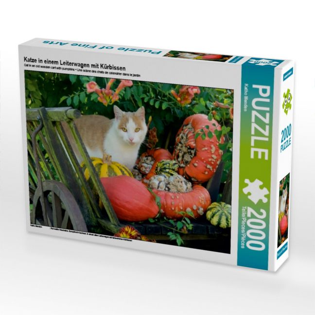 Produktbild: Katze in einem Leiterwagen mit K&uuml;rbissen (Puzzle)