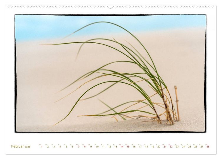 Produktbild: Amrum, inspirierende Landschaft (hochwertiger Premium Wandkalender 2026 DIN A2 quer), Kunstdruck in Hochglanz