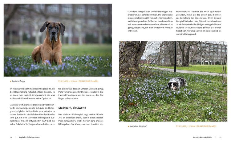Produktbild: Hunde fotografieren - Kreative Bilder mit "Wau-Effekt"