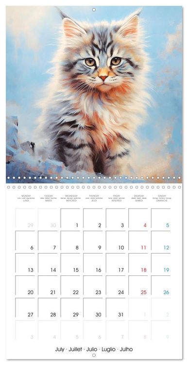 Produktbild: Illustrations Chatons (Calendrier mural carr&eacute; 2026 30x30 cm) Calendrier double avec une page pour vos prises de notes