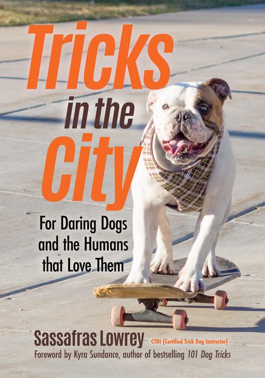 Produktbild: Tricks in the City